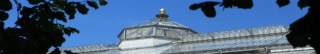 special-banner